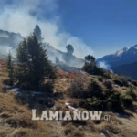 Πυρκαγιά σε δασική έκταση στο Νεοχώρι Φθιώτιδας